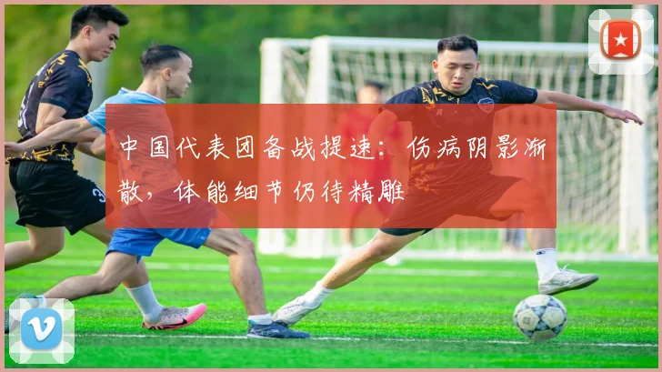中国代表团备战提速:伤病阴影渐散,体能细节仍待精雕 - 虎扑体育推荐