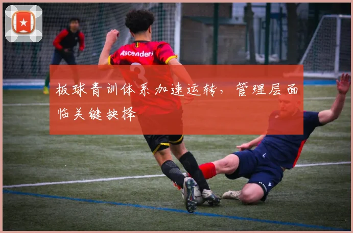 板球青训体系加速运转，管理层面临关键抉择 - 虎扑体育推荐