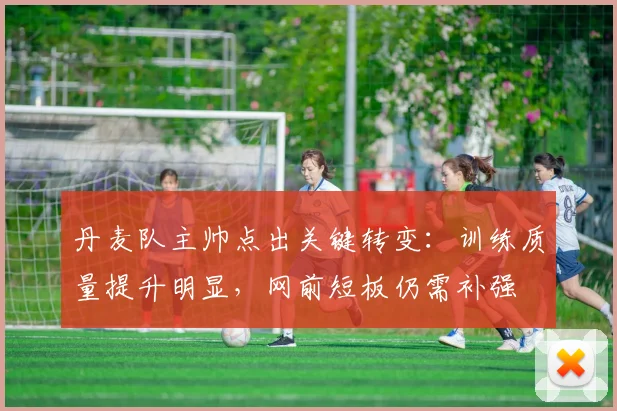 丹麦队主帅点出关键转变:训练质量提升明显,网前短板仍需补强 - 虎扑体育推荐
